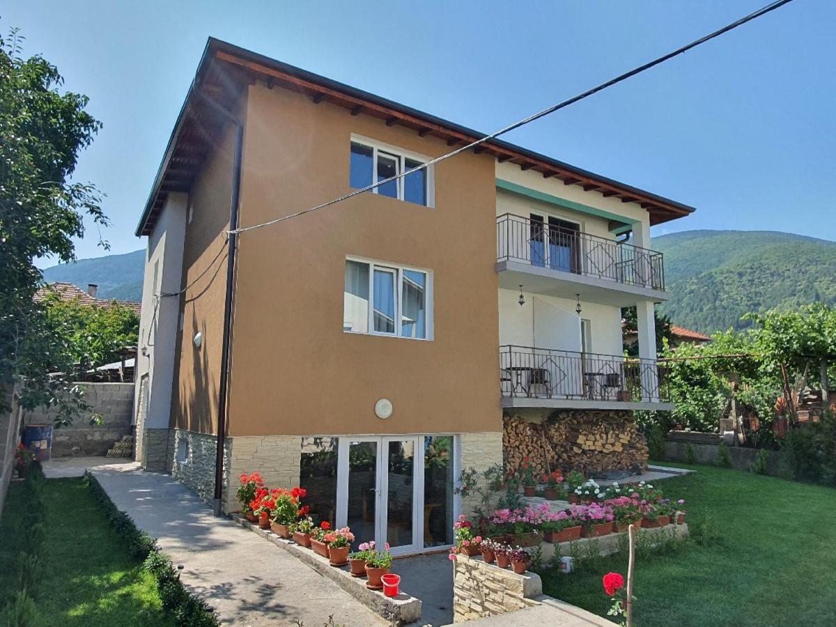Villa Дамяновата Къща Sapareva Banya Esterno foto